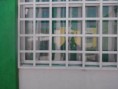 /album/fotogaleria/p131111-12-03-jpg/
